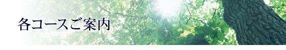 各コースご案内